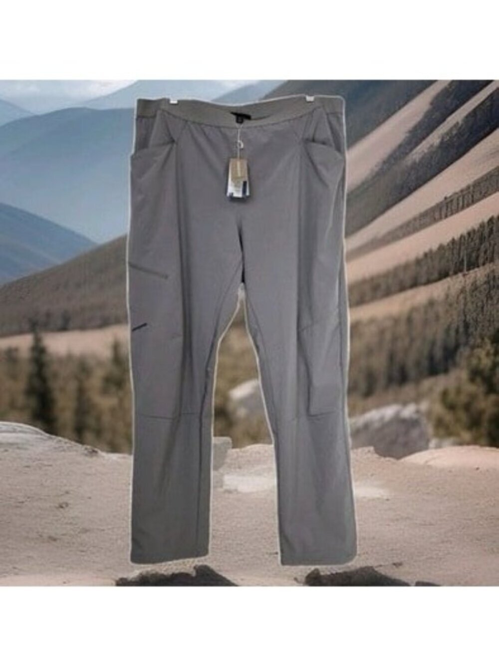 Patagonia Chambeau Rock Pants Climbing Hiking Feather Grey 82935 Women's Size 12